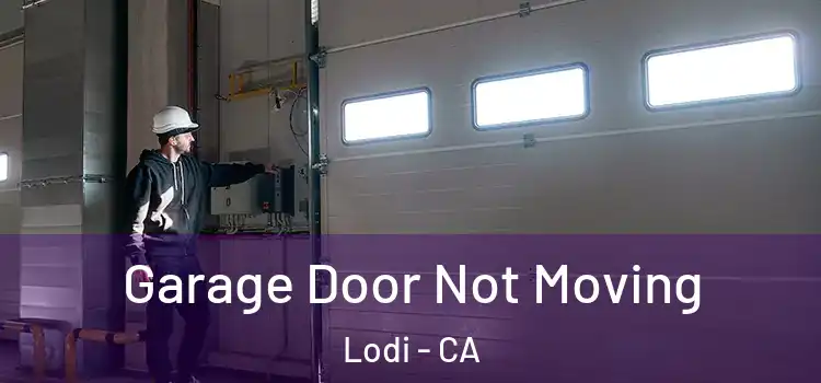  Garage Door Not Moving Lodi - CA