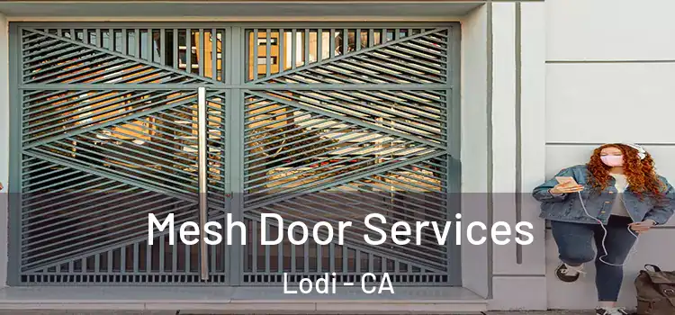 Mesh Door Services Lodi - CA