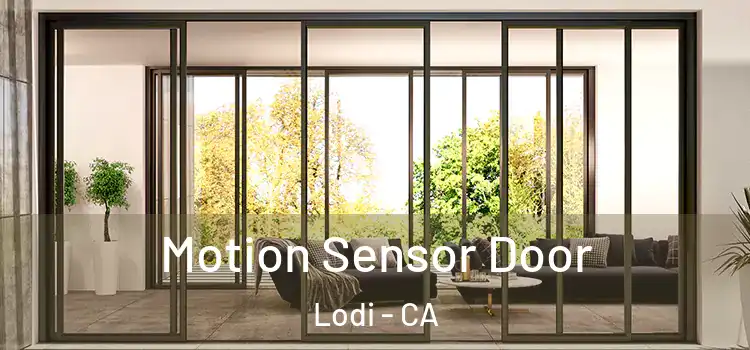 Motion Sensor Door Lodi - CA